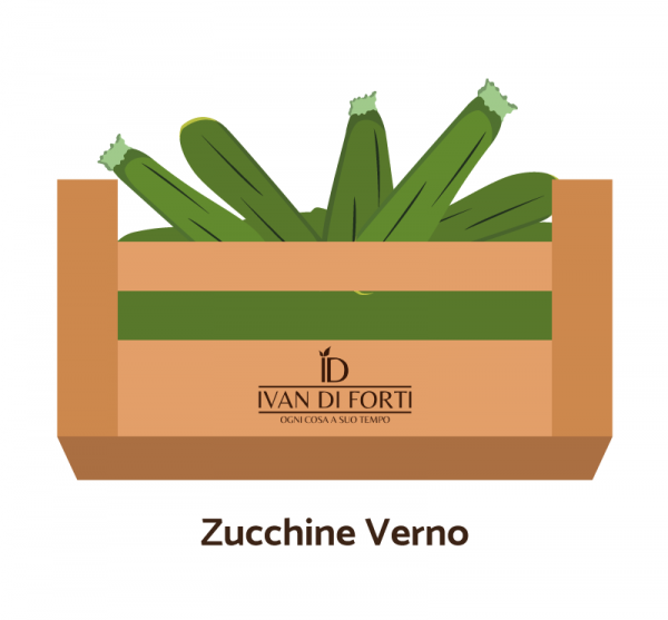 Zucchine Verno 5 KG
